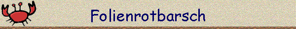Folienrotbarsch